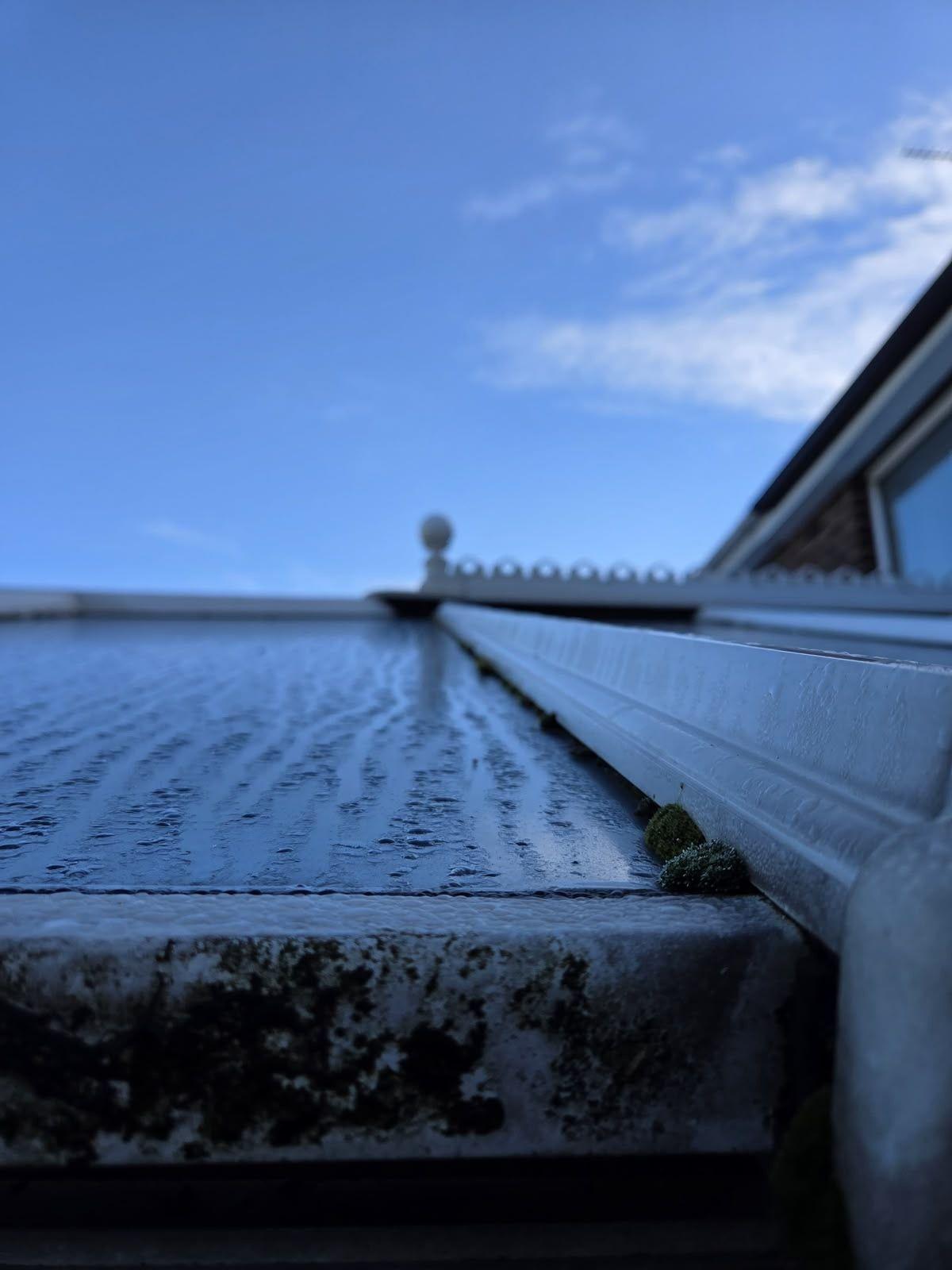 Close-up of moss growing in a conservatory gutter